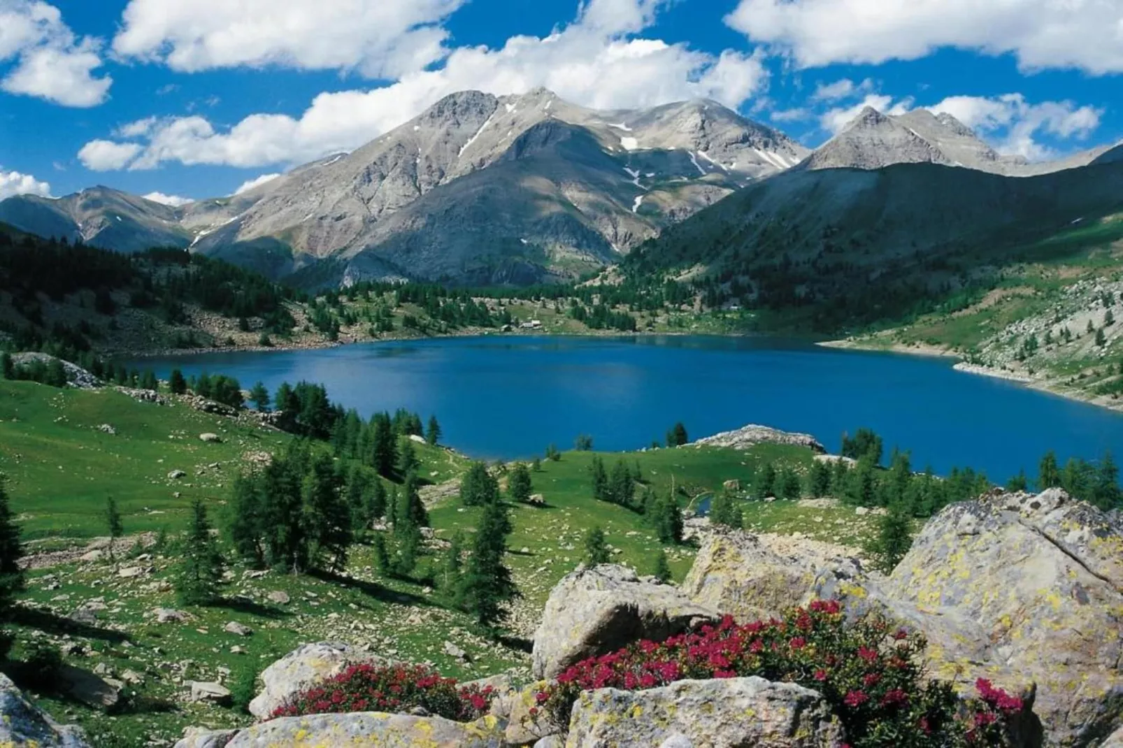 Les Marmottes N°14 - ST4-Areas within 5km in summer