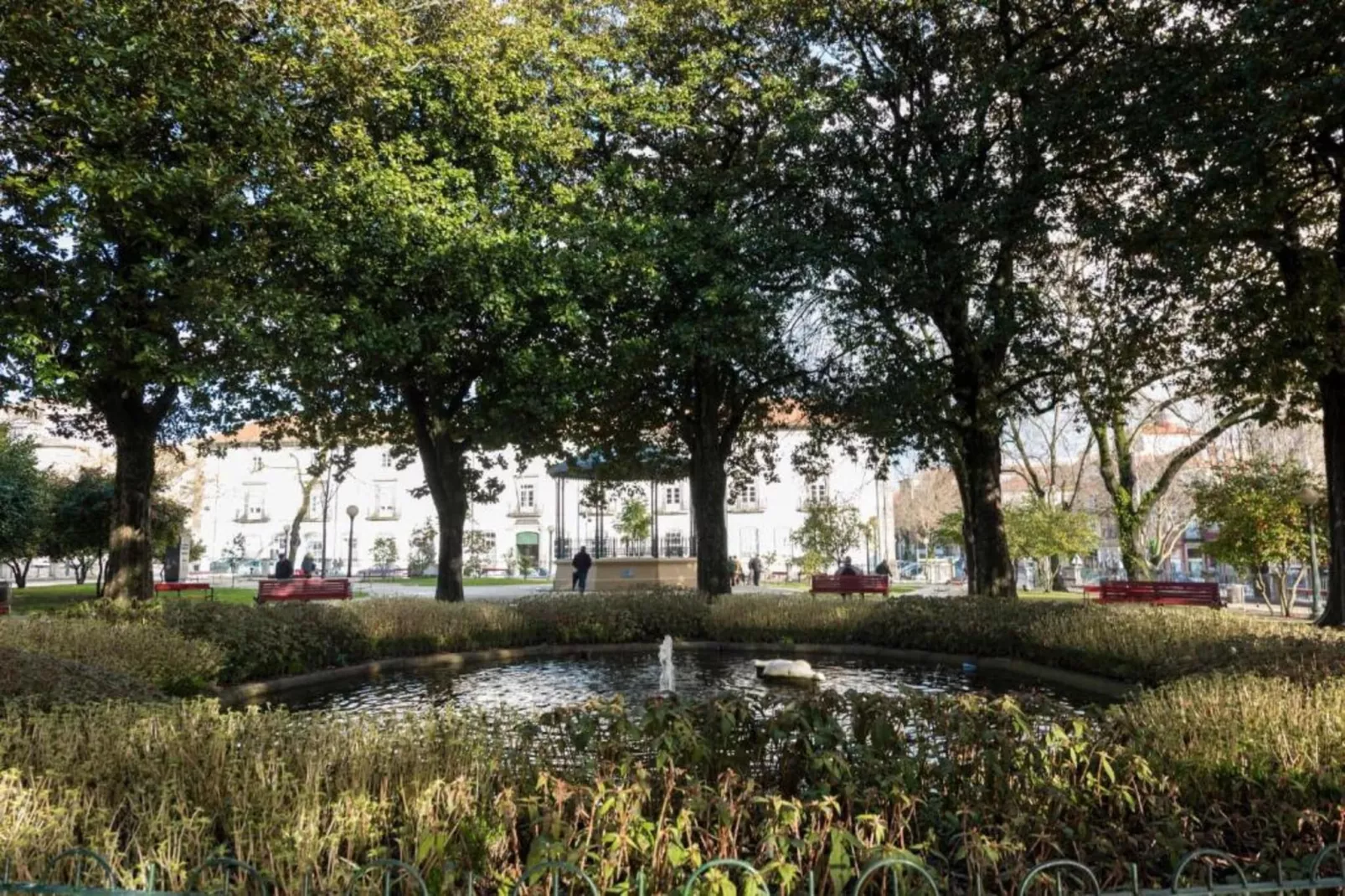 YOUROPO - Flores G-Areas within 20km in summer
