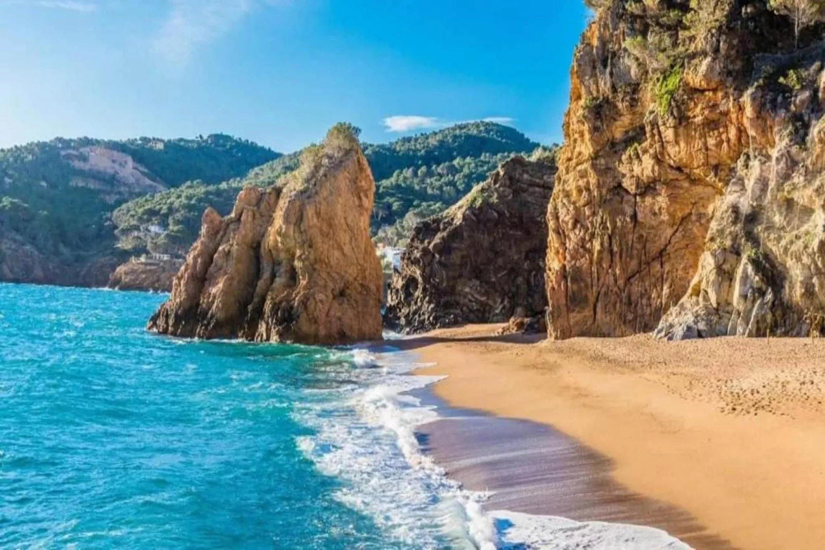Medas 12-Areas within 5km in summer
