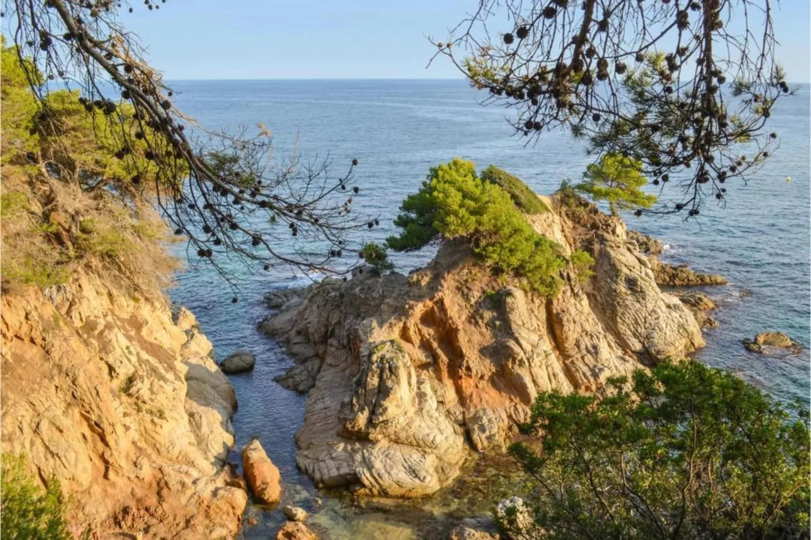 Vila-Areas within 5km in summer