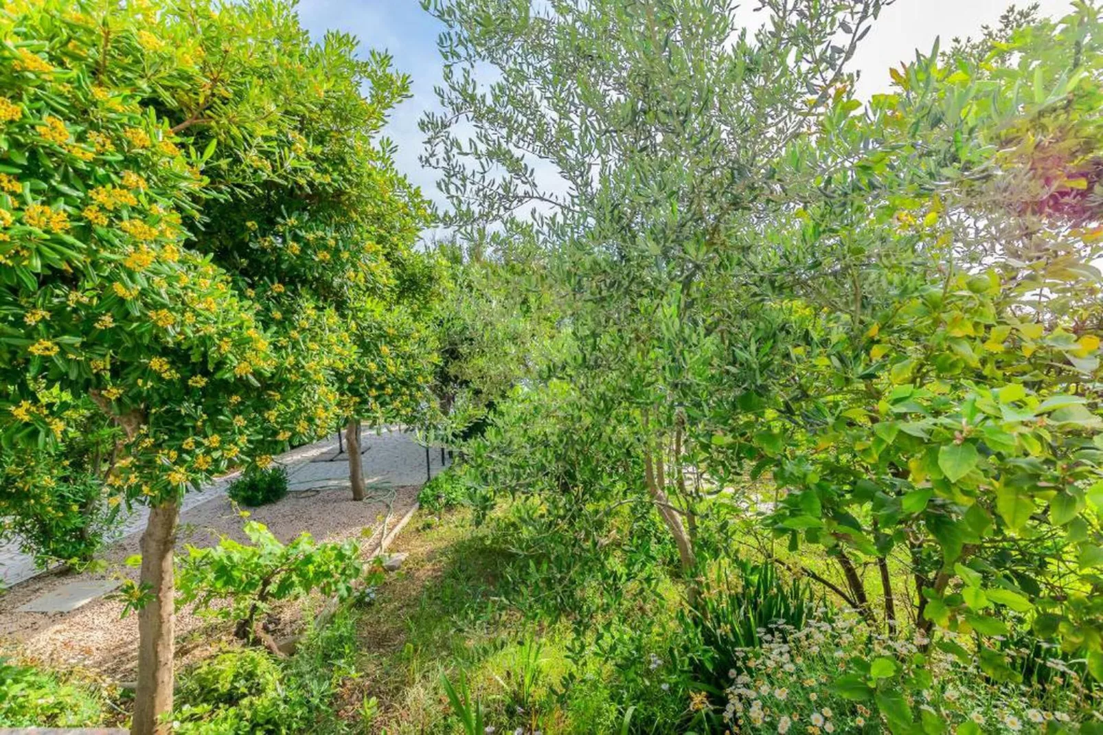 Blanka B2 - Shared Jacuzzi, Magical Garden-Areas within 20km in summer