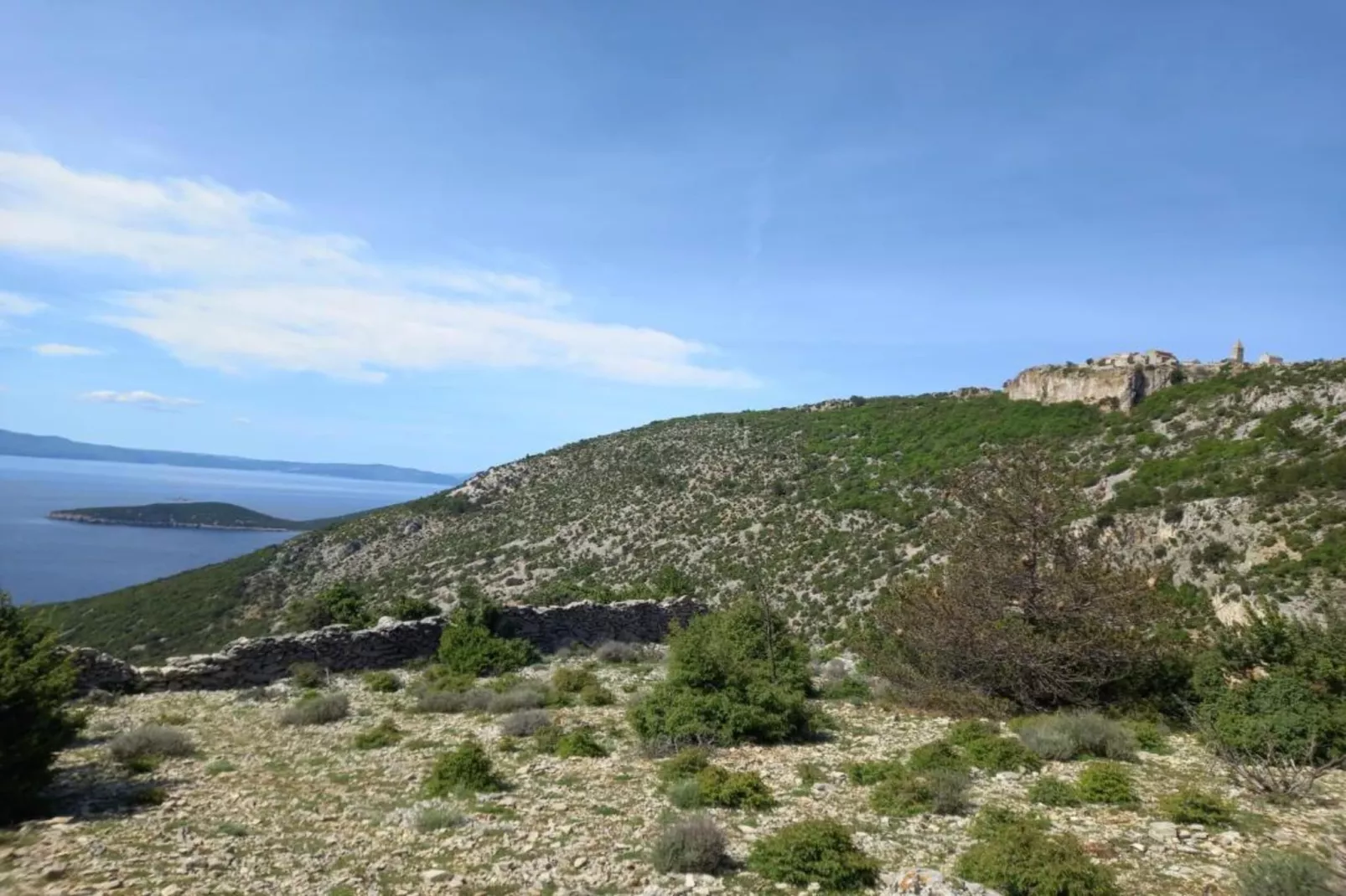 Apartment Jana-Areas within 5km in summer