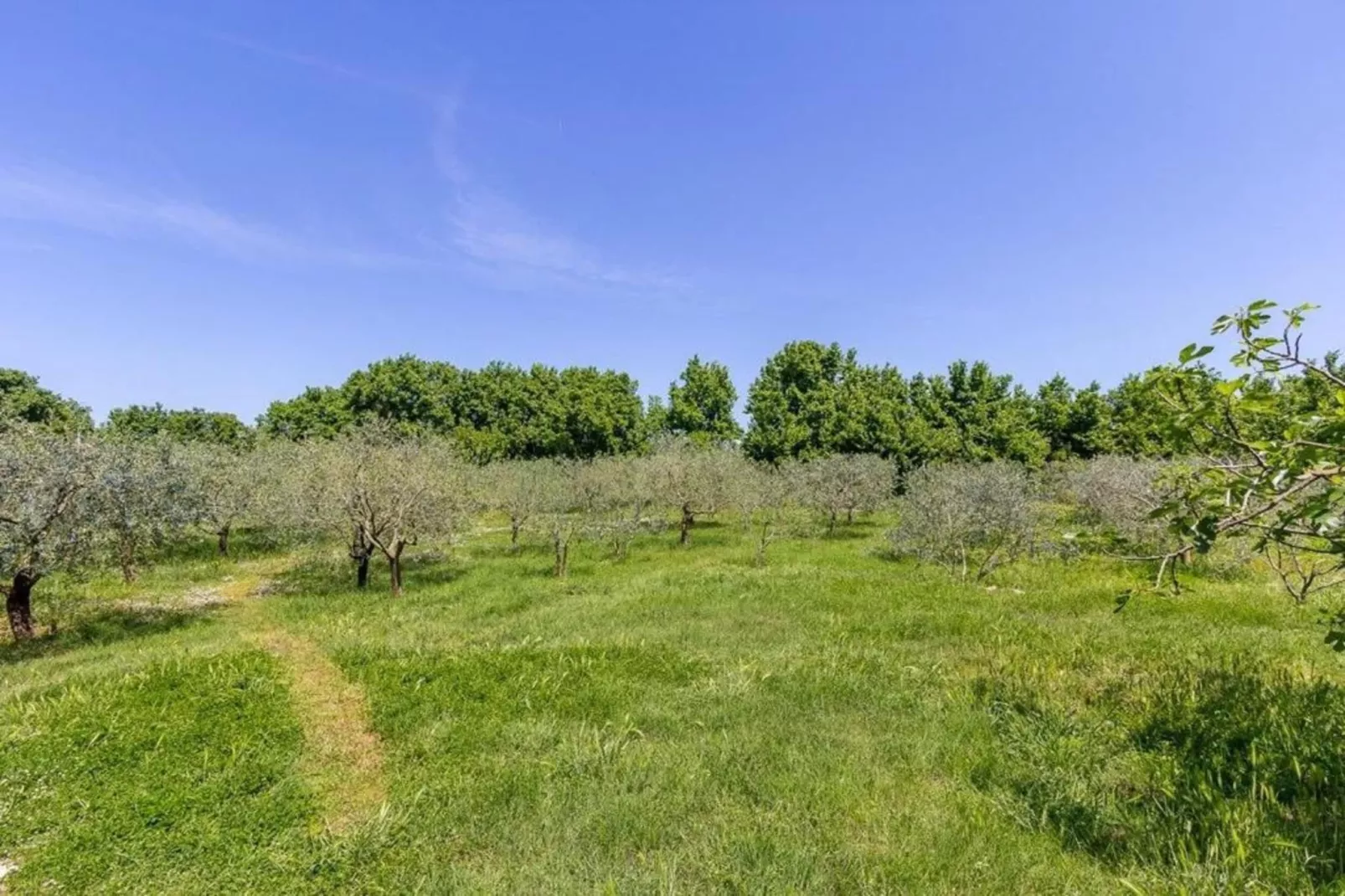 Marceta Apartment 1 - Pool and Big Garden-Areas within 5km in summer
