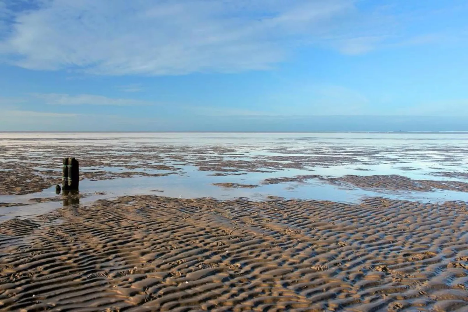 Bargereed 90-Areas within 5km in summer