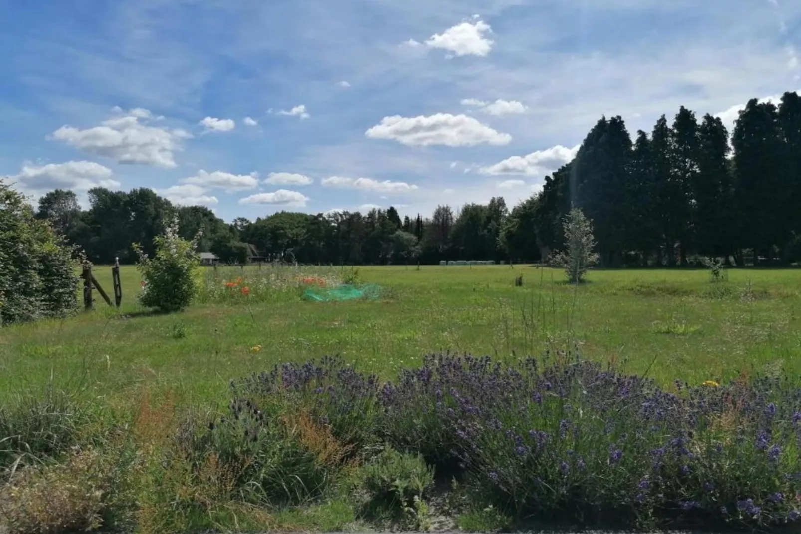 Vlindervallei Studio 2p-Areas within 5km in summer