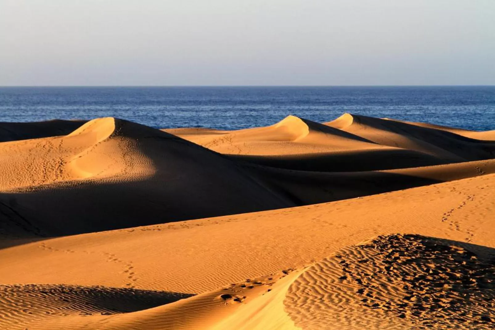 Tabaibas 14-Areas within 20km in summer