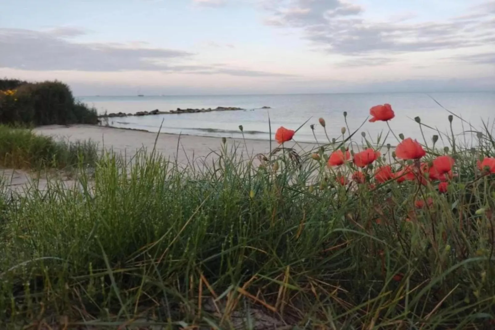 Omke Jan-Gebiete Sommer 5 km