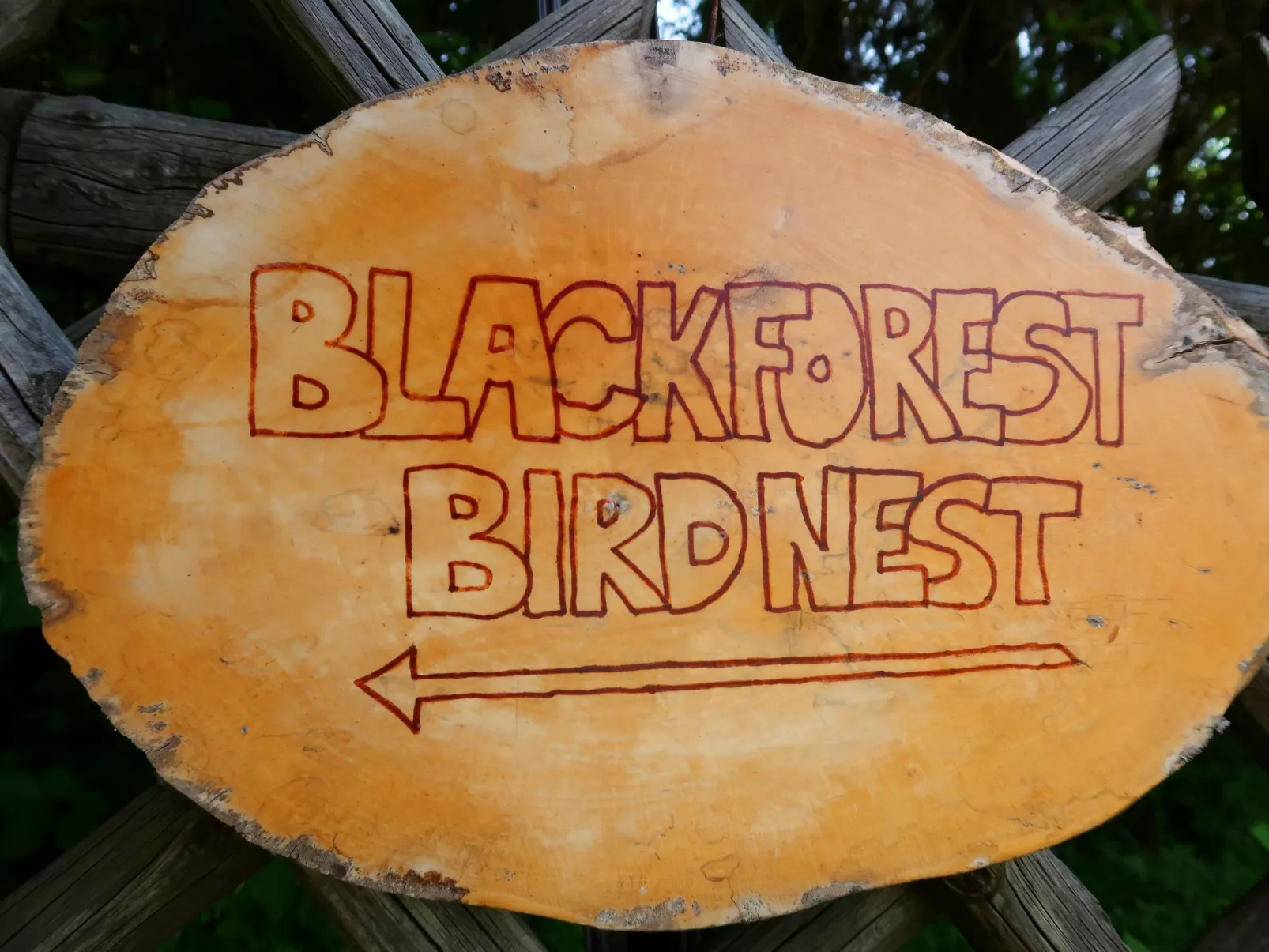 Blackforest Birdnest-Dehors