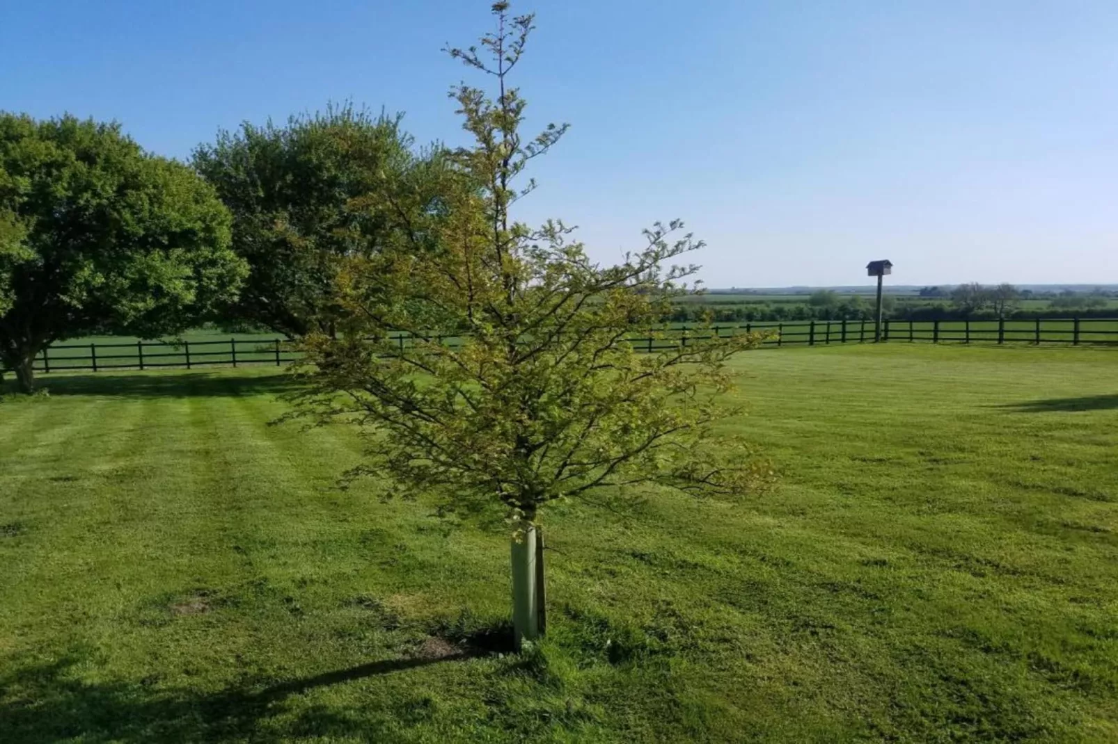Longwool View-Gebiete Sommer 20 km