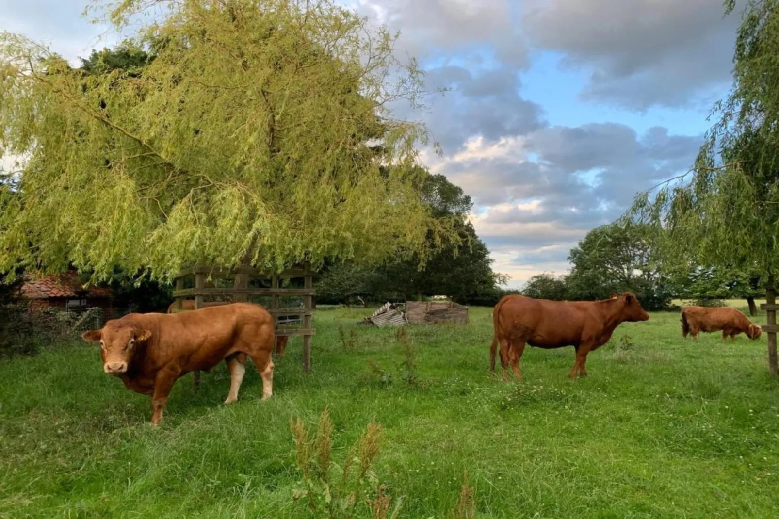 Worm Dale-Gebiete Sommer 5 km