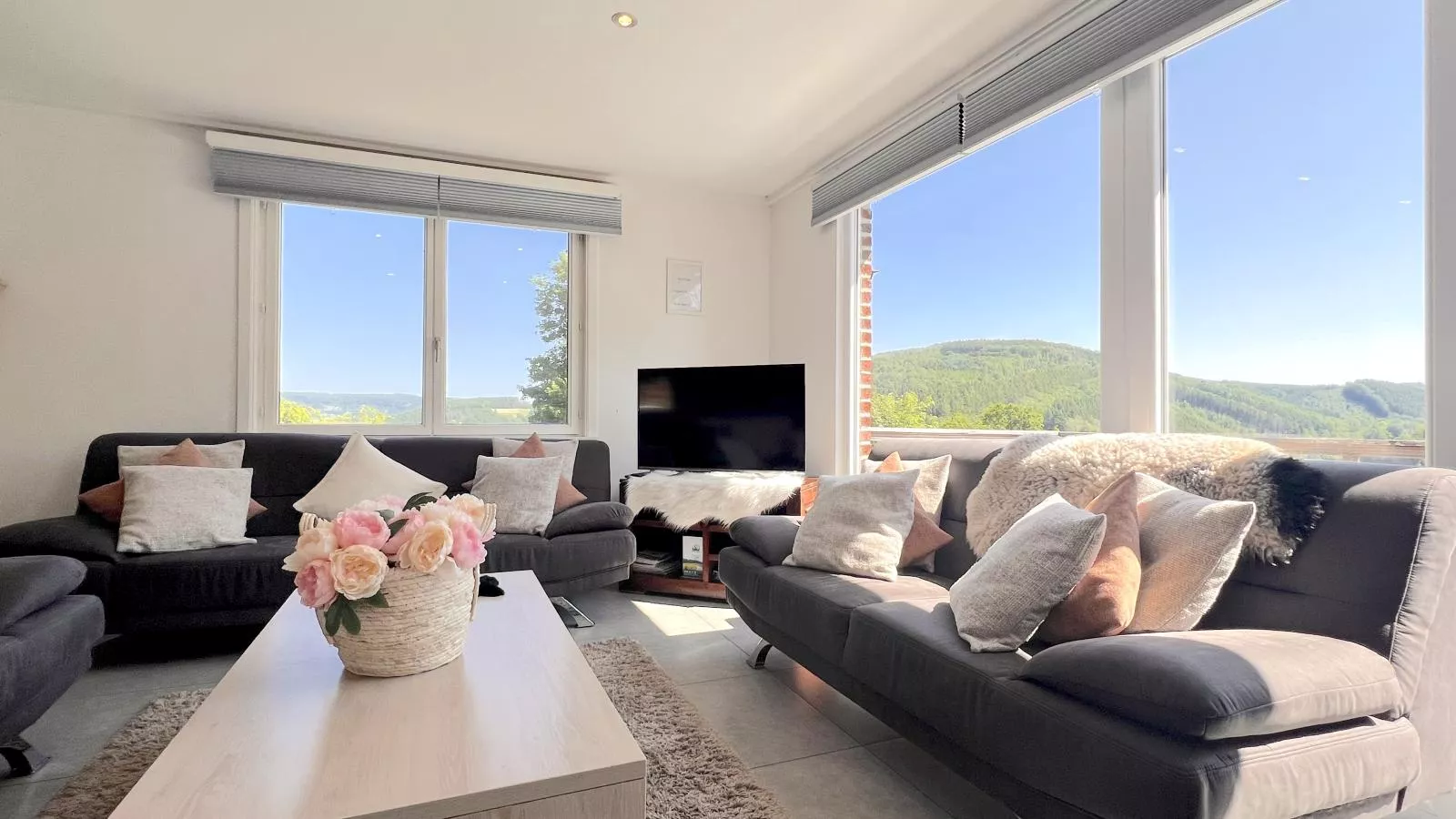 Devant les Thiers-Living room