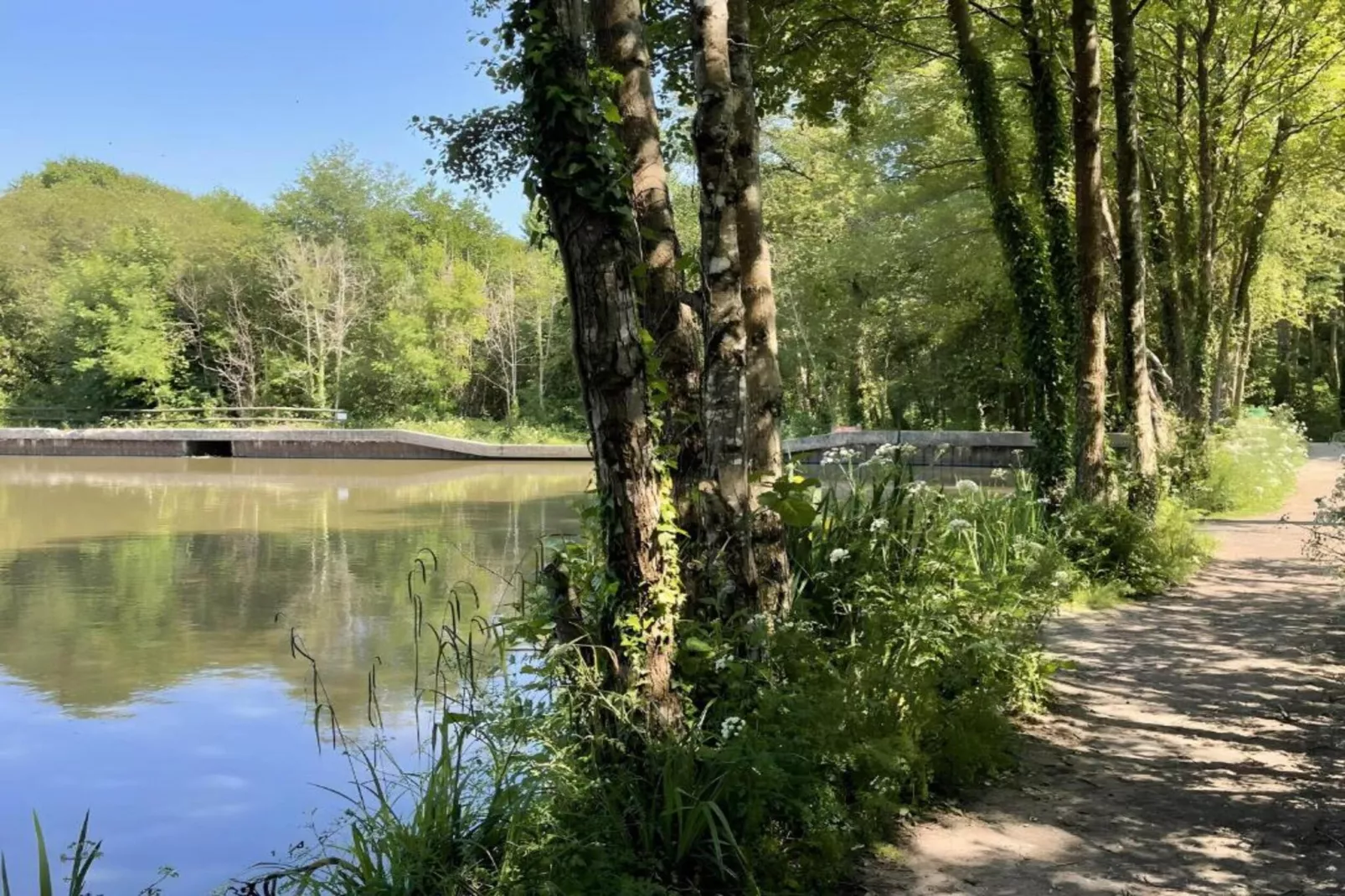 Wakehurst Luxury Dome-Areas within 5km in summer