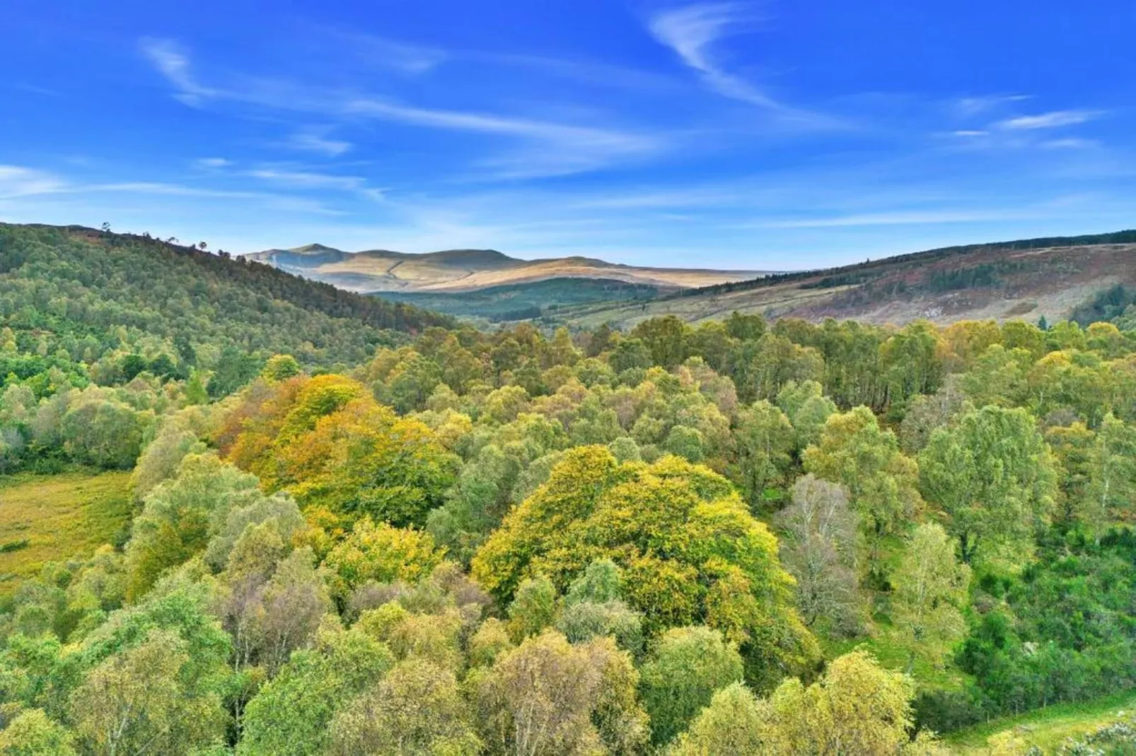 The Bakers Hut-Areas within 5km in summer