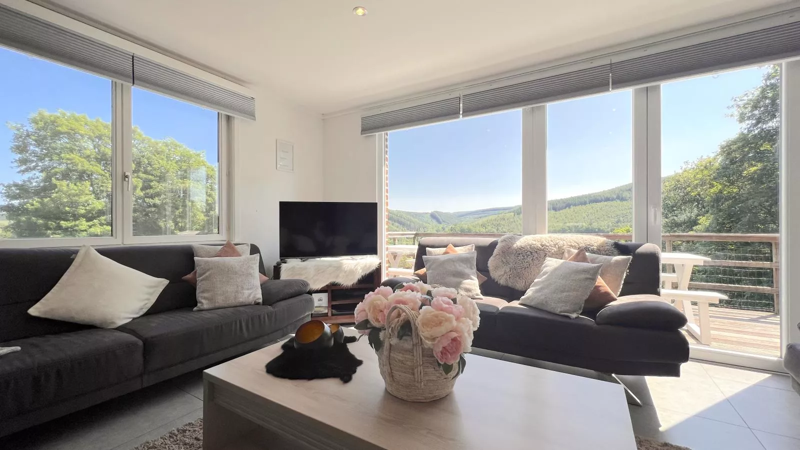 Devant les Thiers-Living room