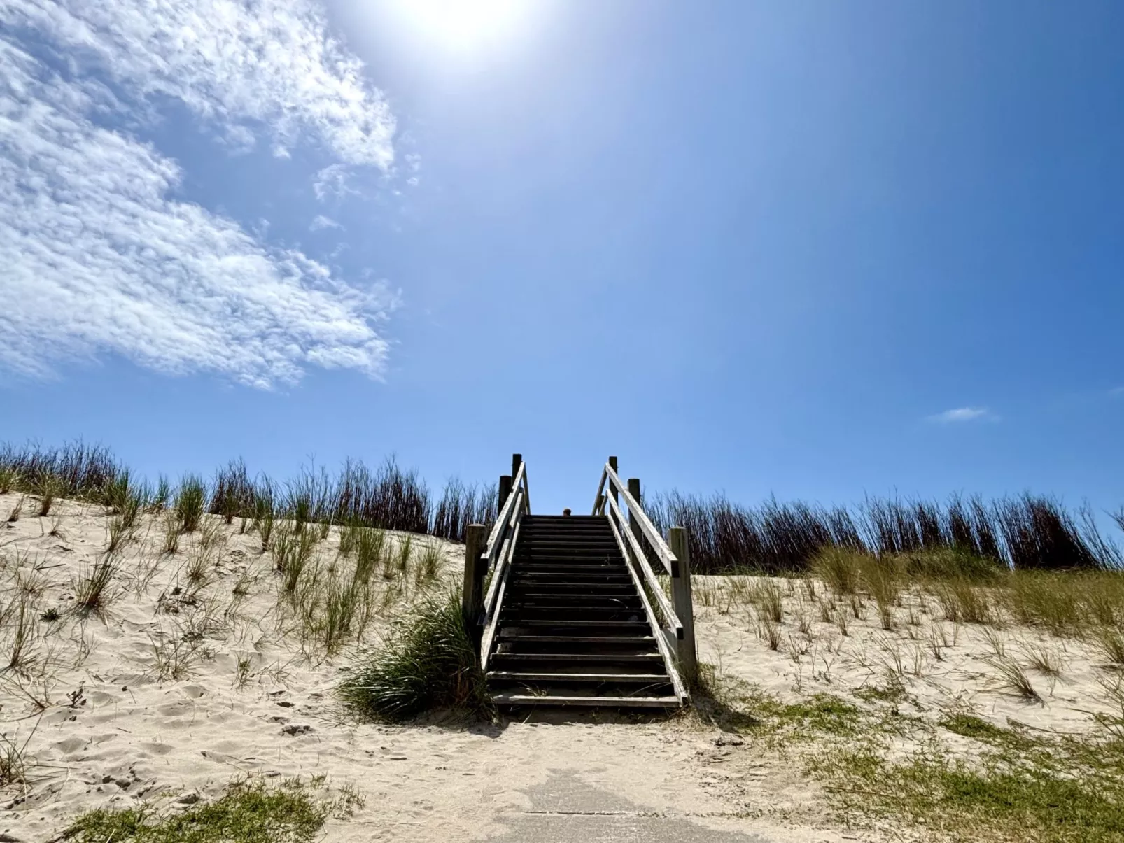 Beach House Westkapelle 105.4-Environnement