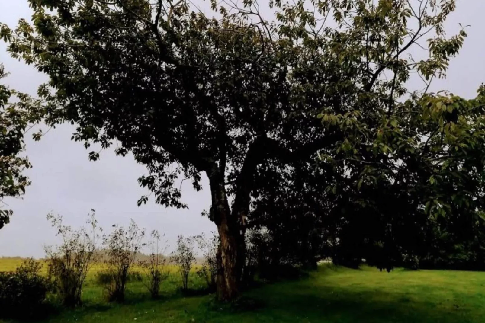 5 Sterne Ferienhaus in Løkken-Im Freien