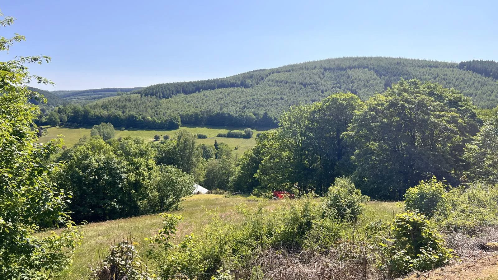 Devant les Thiers-View summer