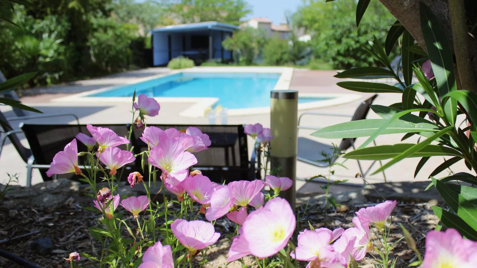 Clos des Oliviers-Swimming pool