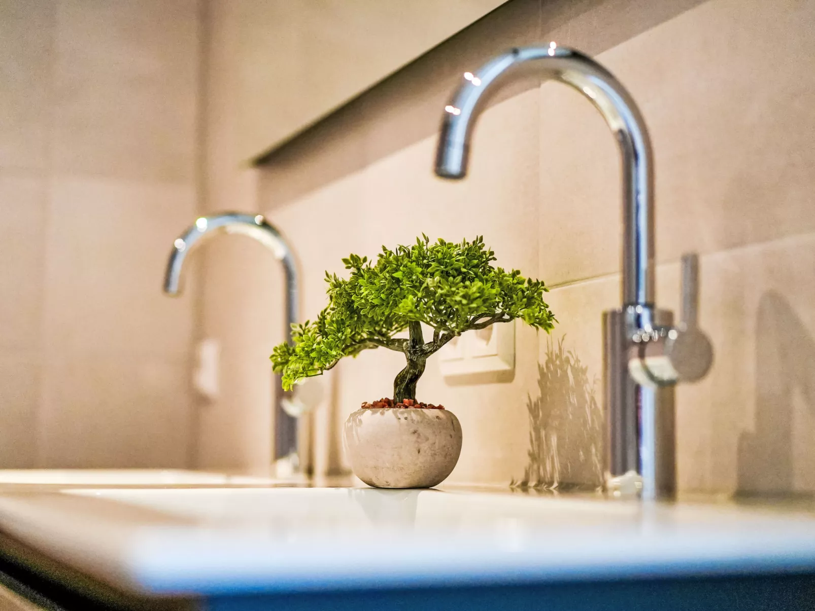 Zen Kitchen & Boutique Hotel-Inside