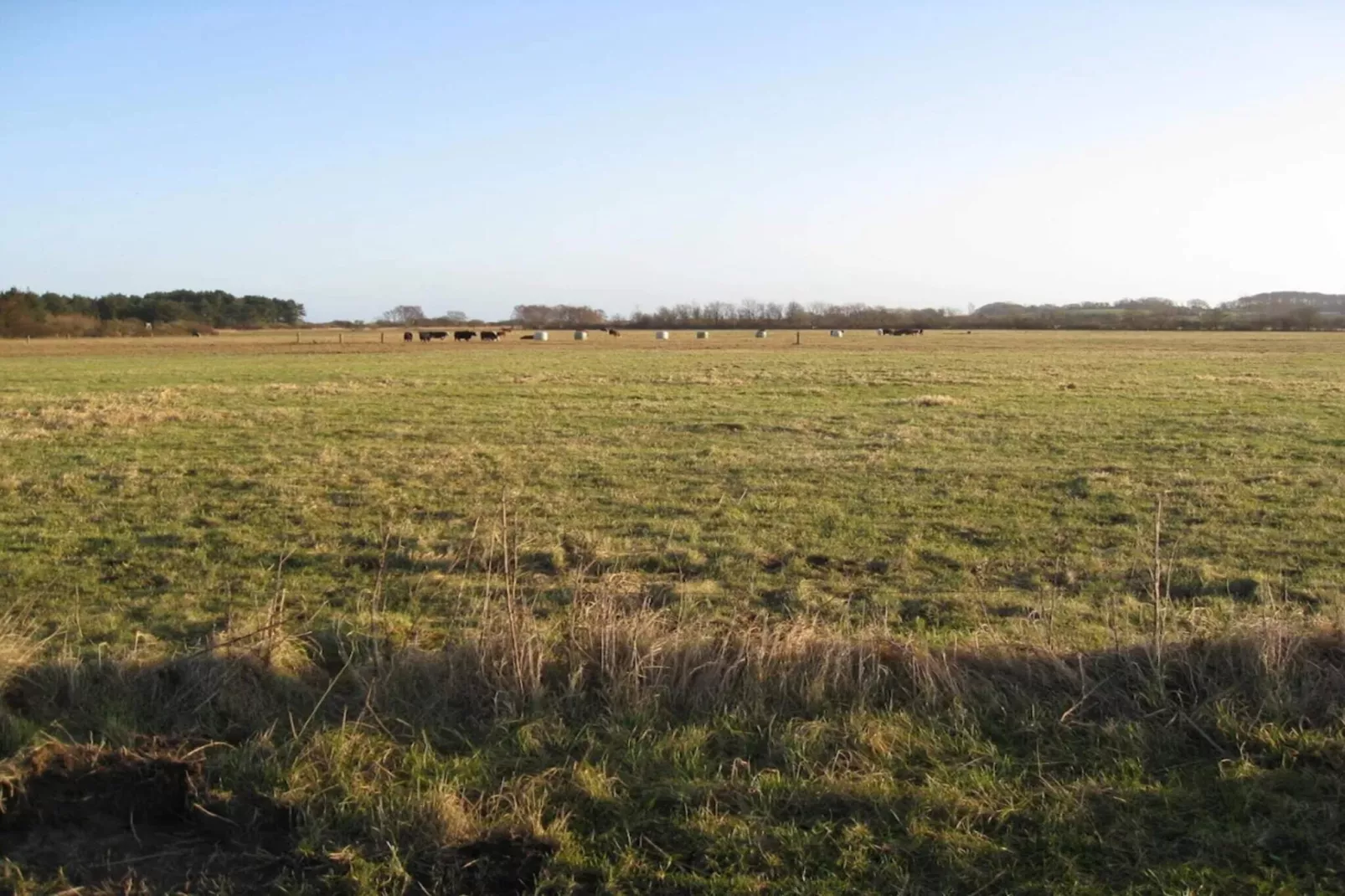 6 person holiday home in Borre-Untagged