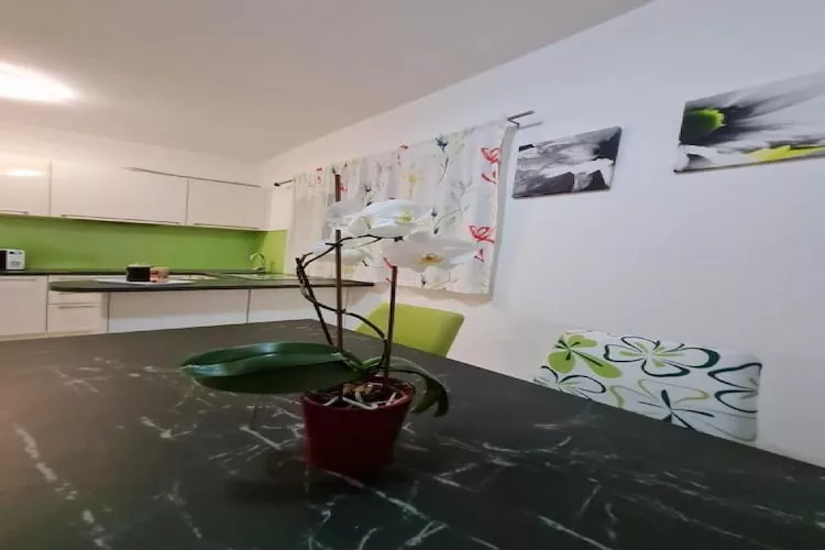 Luxury apartment Ani - Three Bedroom Apartment with terrace and Swimming pool-Cuisine