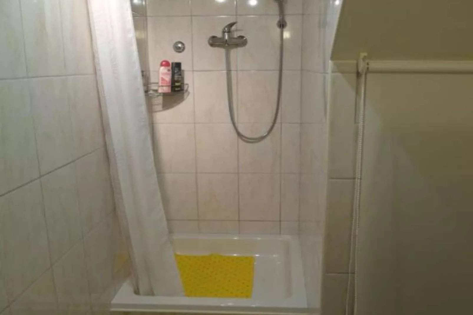 Apartment Antonio - One Bedroom apartment with Terrace-Bathroom
