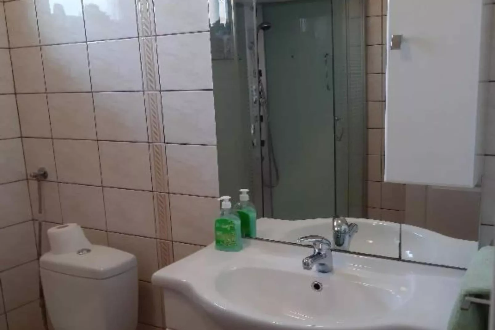 Apartment Čeliković - One Bedroom Apartment with Balcony-Salle de bain