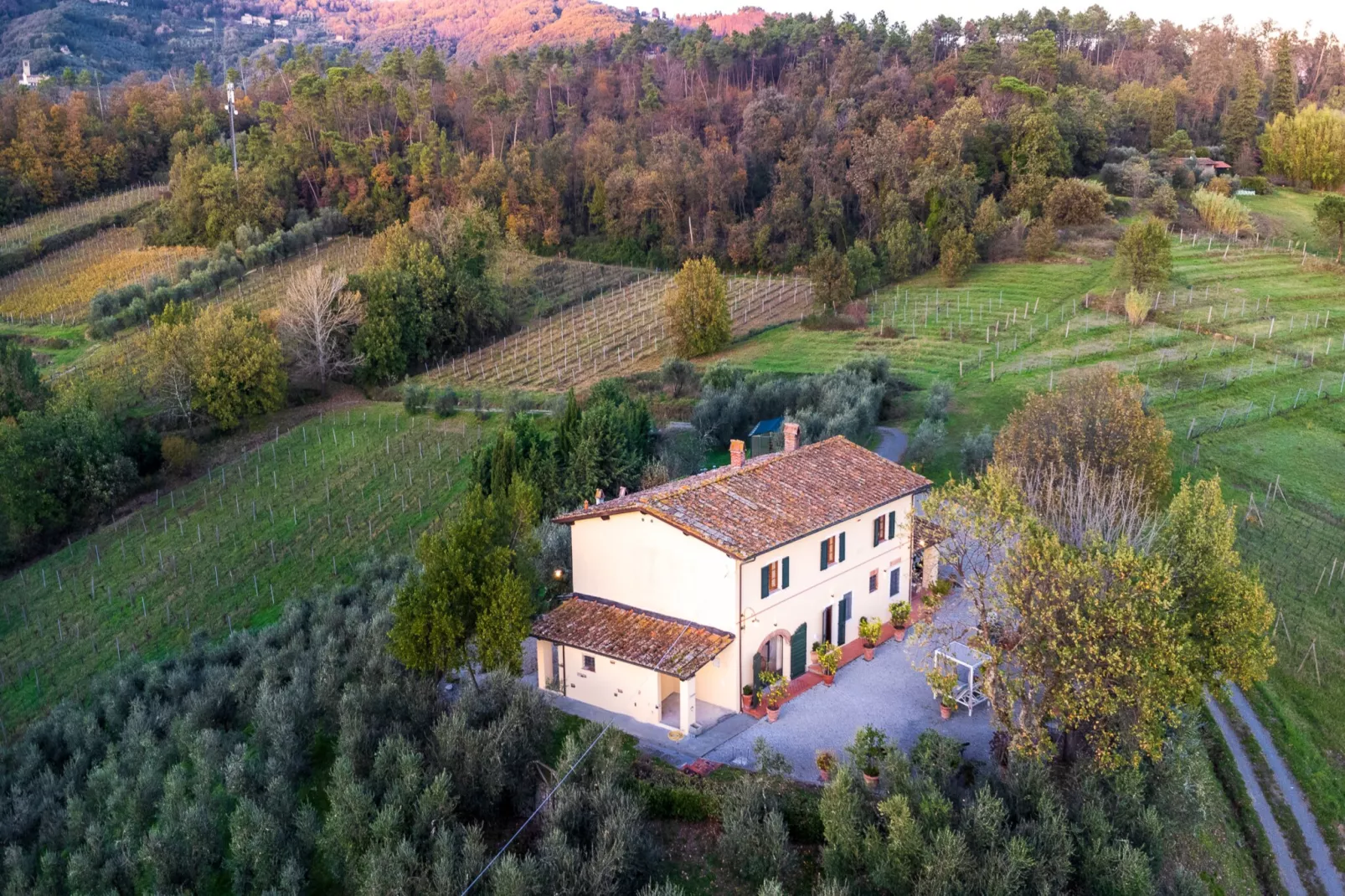 Amore Farmhouse Retreat-Untagged