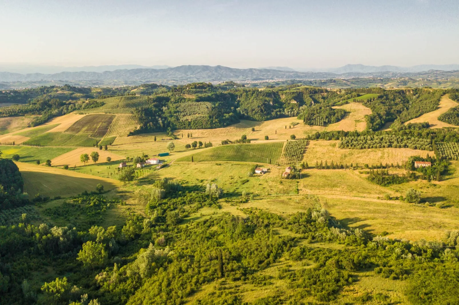 Villa San Miniato-Non tagué