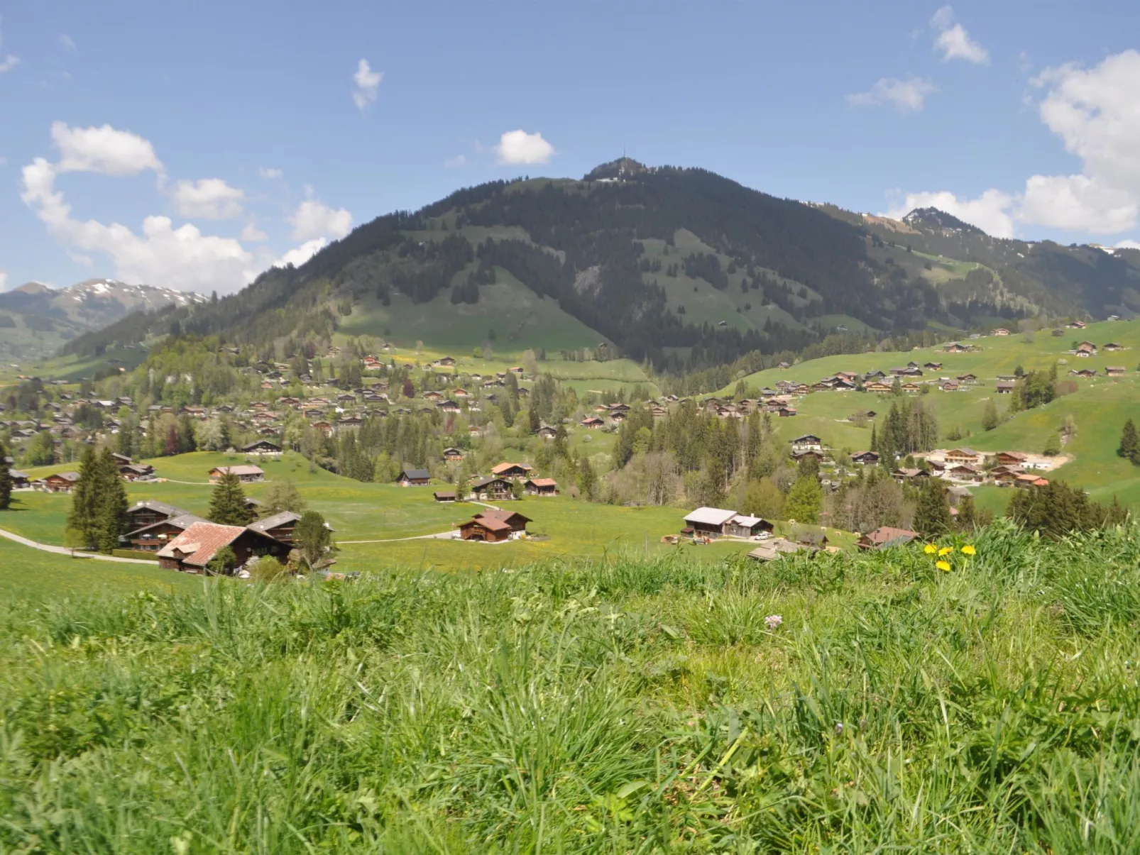 Alpenchalet Spiher Parterre-Inside