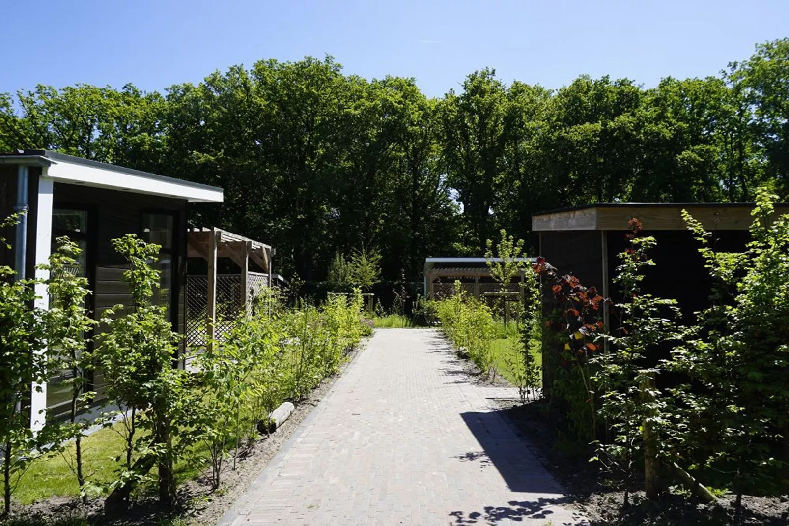 Op'e Pleats 3-Exterior in summer