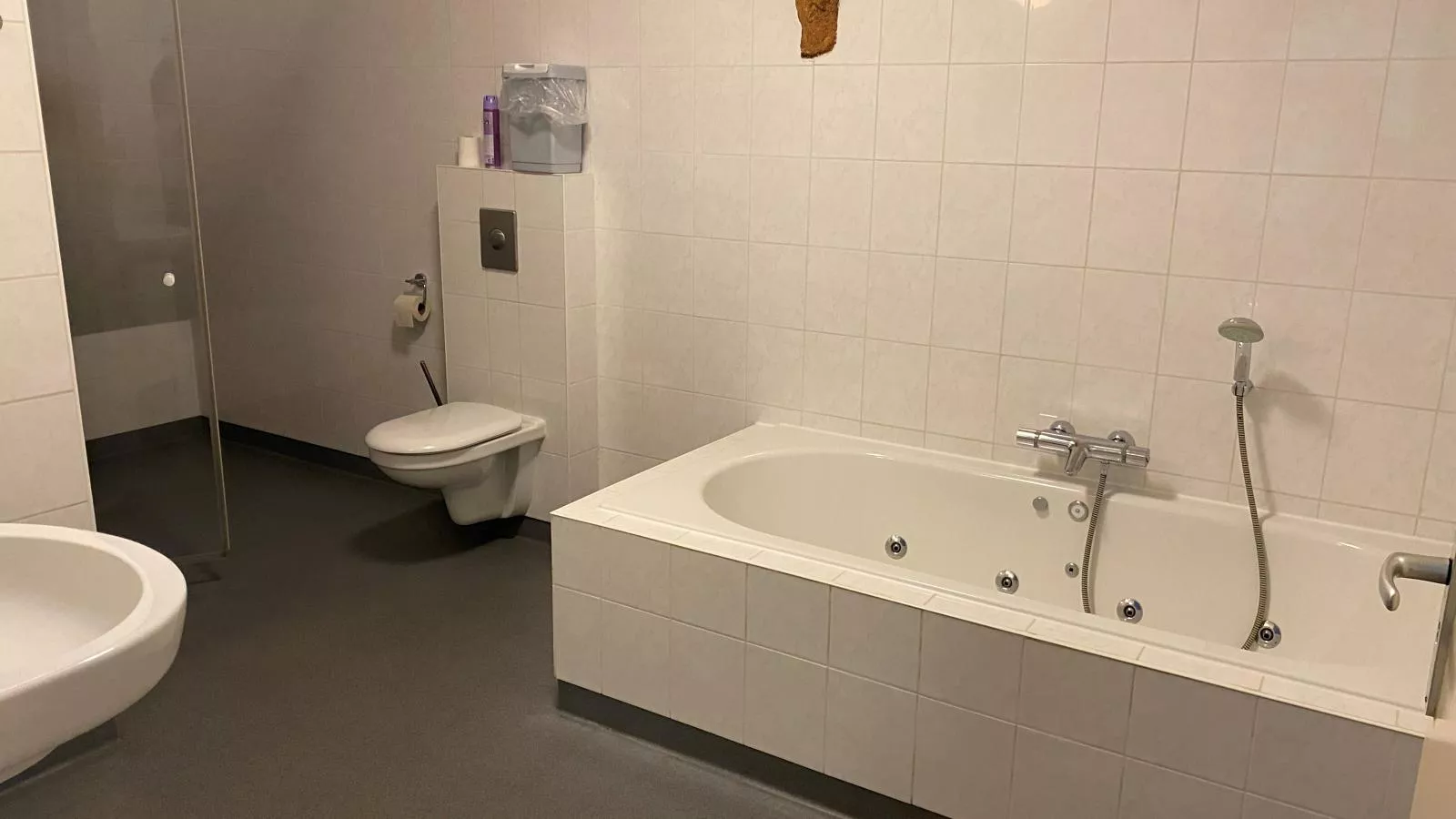 Groep in Friesland-Salle de bain