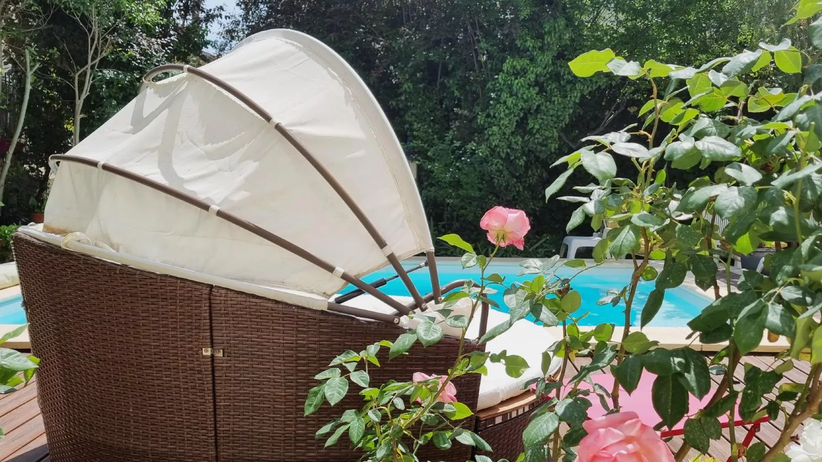 La maison des Vendangeurs 6-Garten Sommer