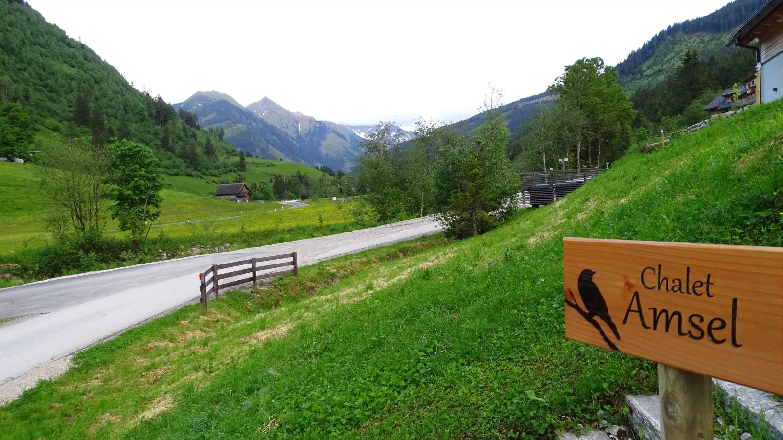 Chalet Amsel-View summer