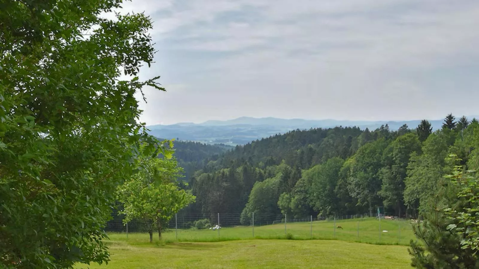 Max-Aussicht Sommer
