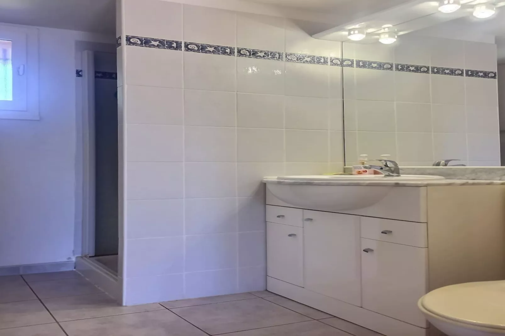 LOU 153 GAUCHE-Salle de bain