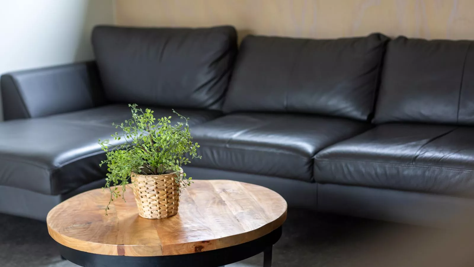 Woodlodge XL 588-Ambiance