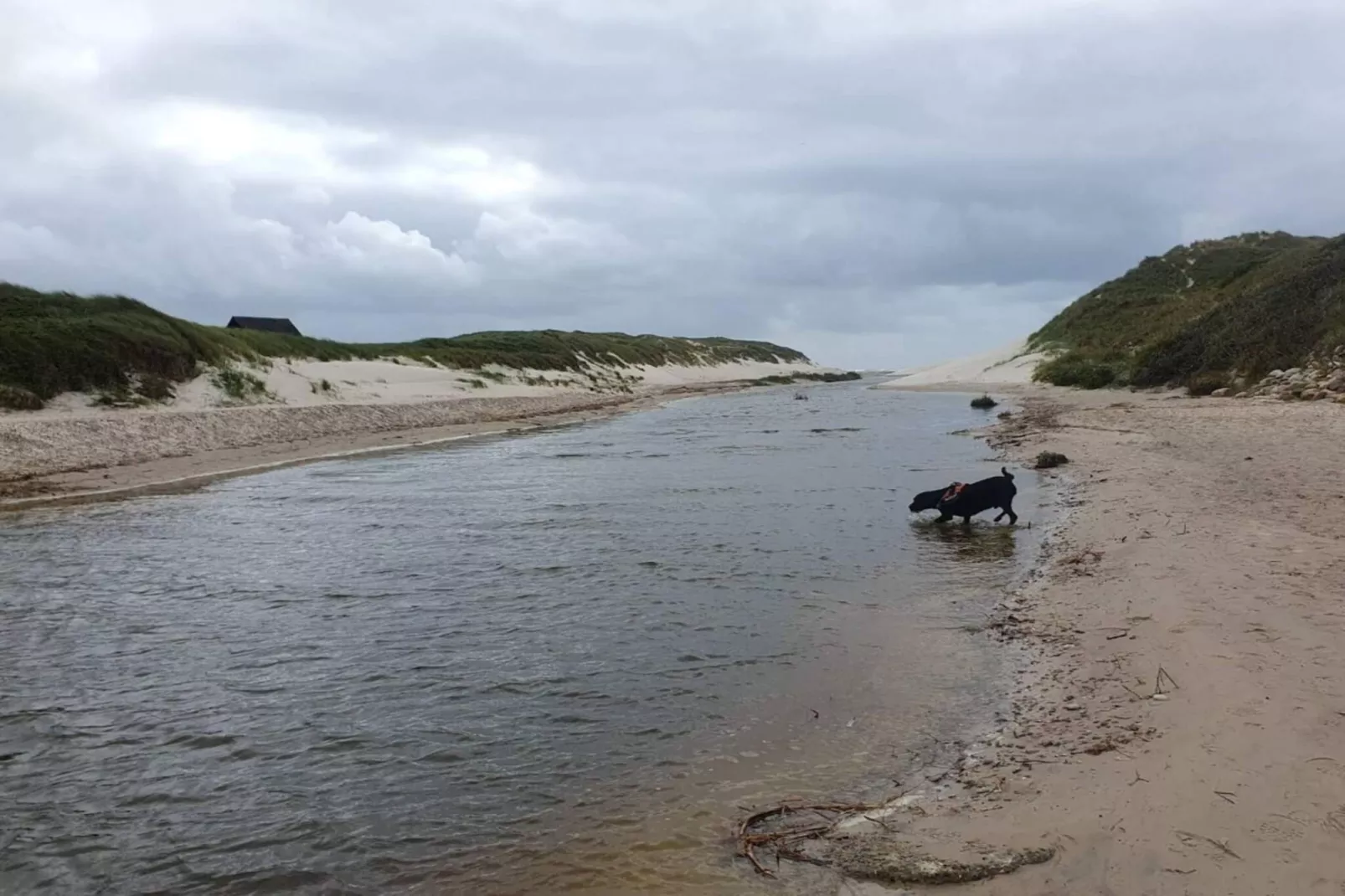 8 person holiday home in Blåvand-Water view
