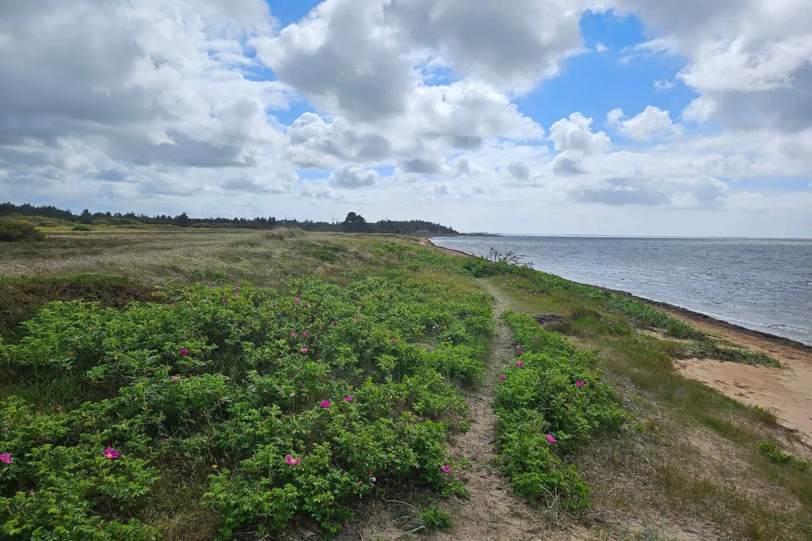 6 person holiday home in Hemmet-Water view