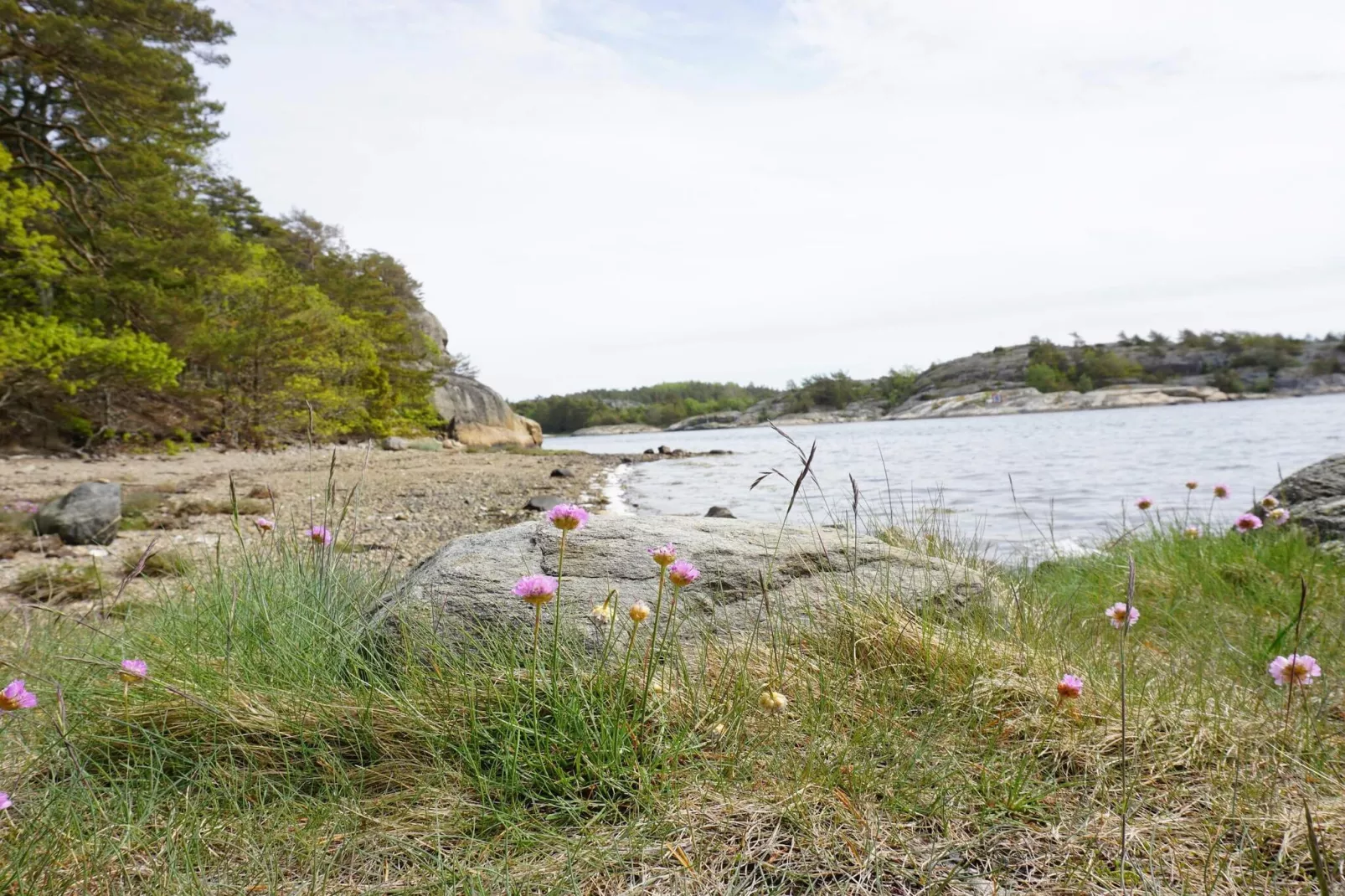 Peaceful Coastal Getaway on Oddo-Untagged