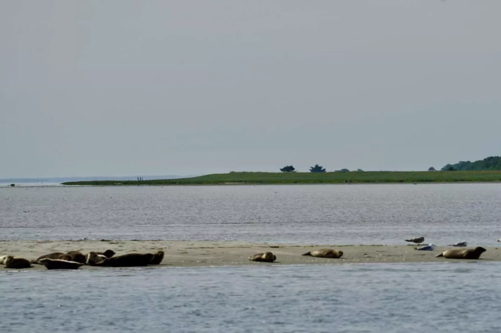 6 Personen Ferienhaus in Hadsund-Wasserblick