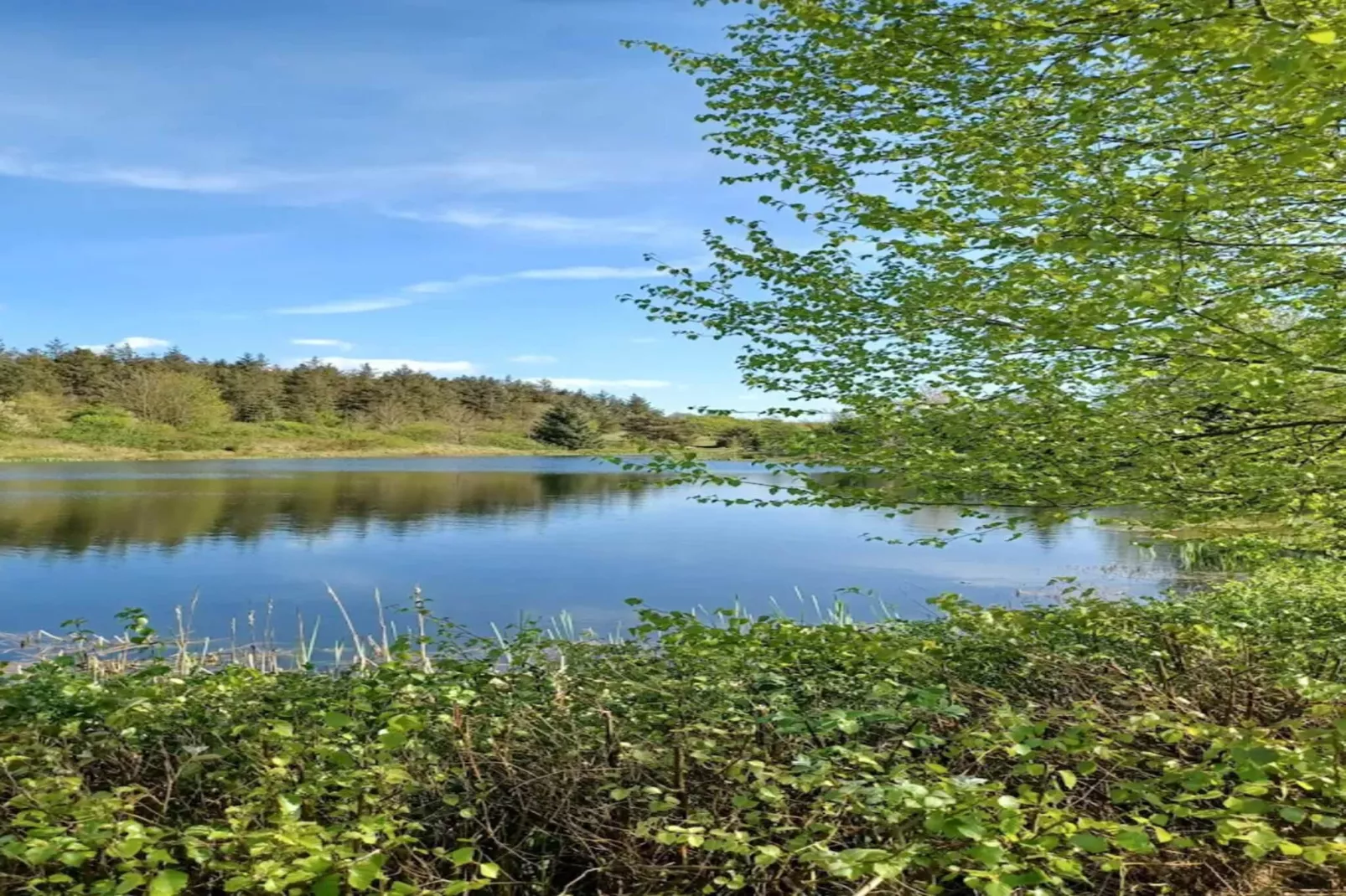 4 person holiday home in Toftlund-Water view