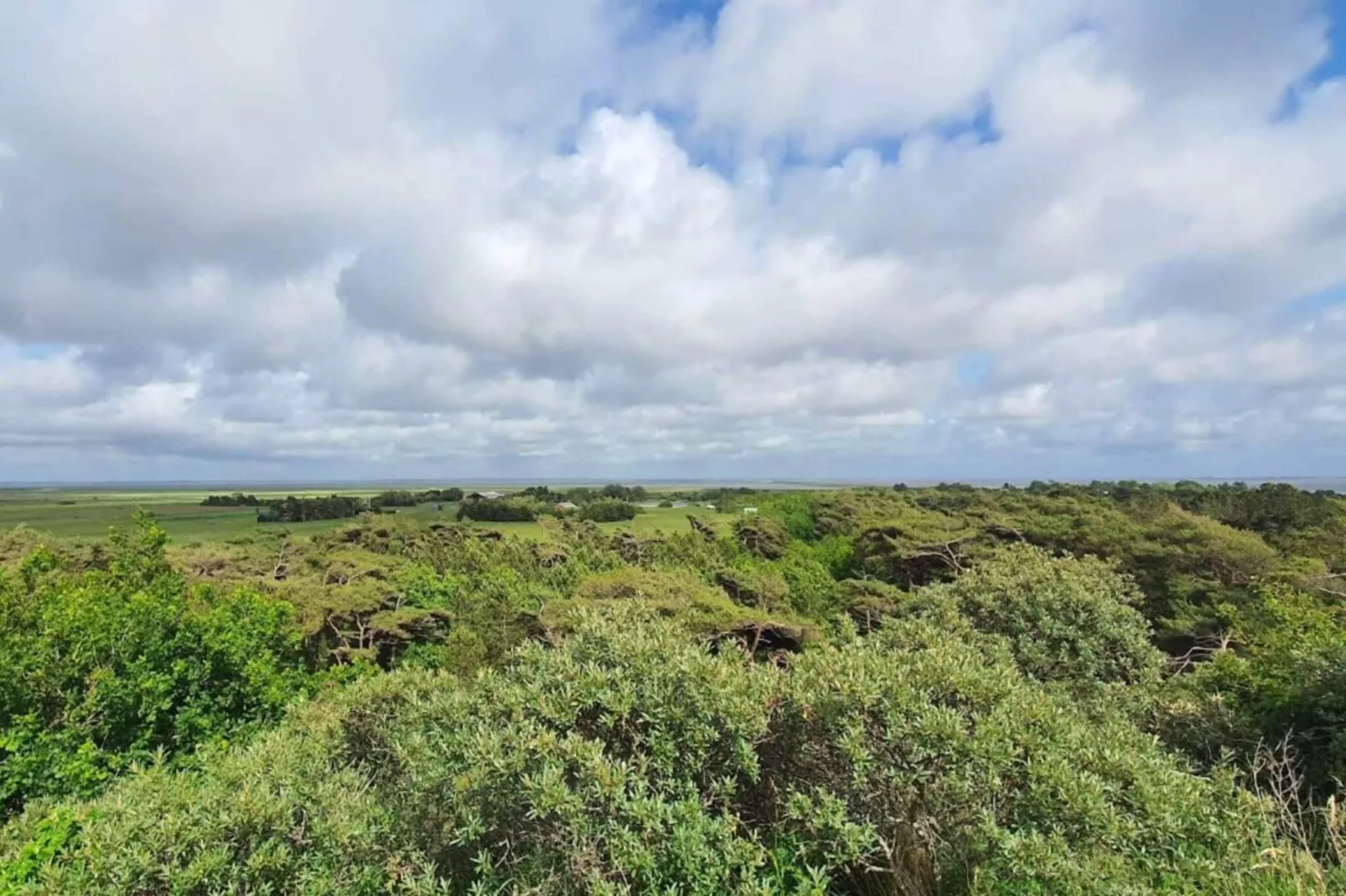 6 person holiday home in Rømø-By Traum-Untagged