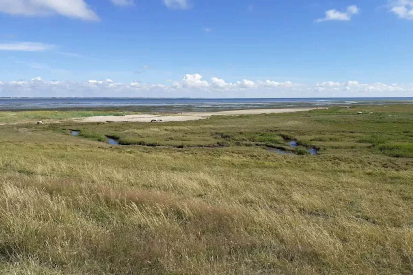 5 Personen Ferienhaus in Rømø-By Traum-Wasserblick