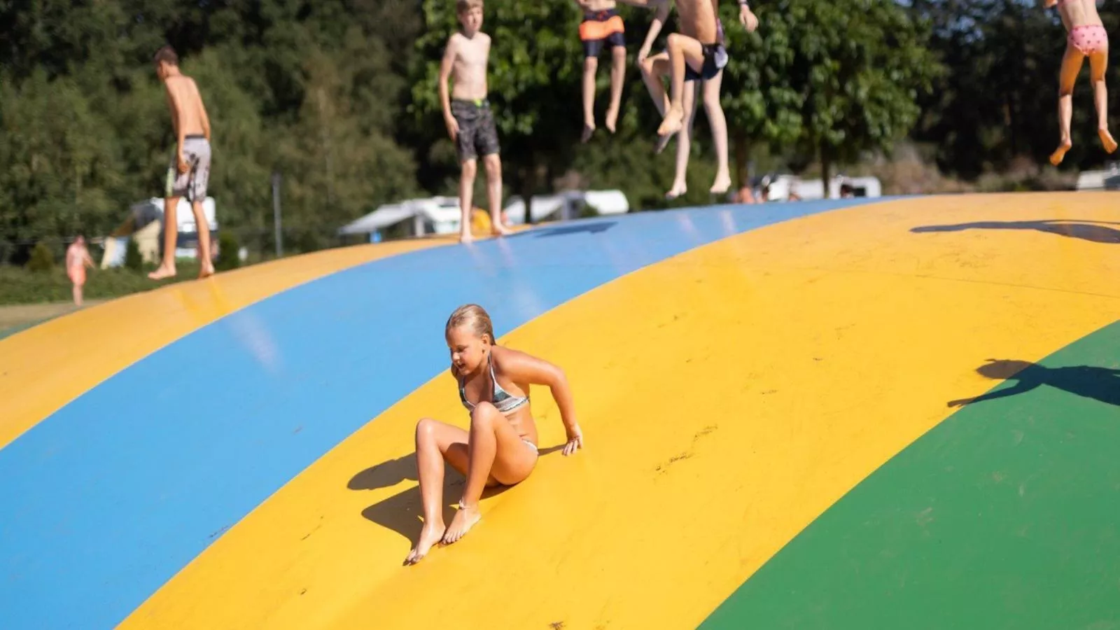 Boslodge-Installations du parc