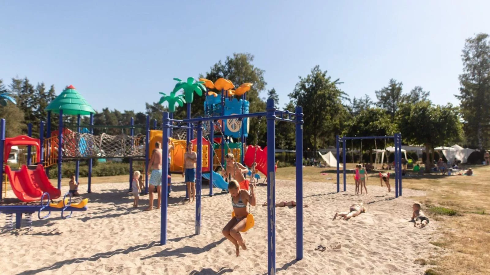 Boslodge-Installations du parc