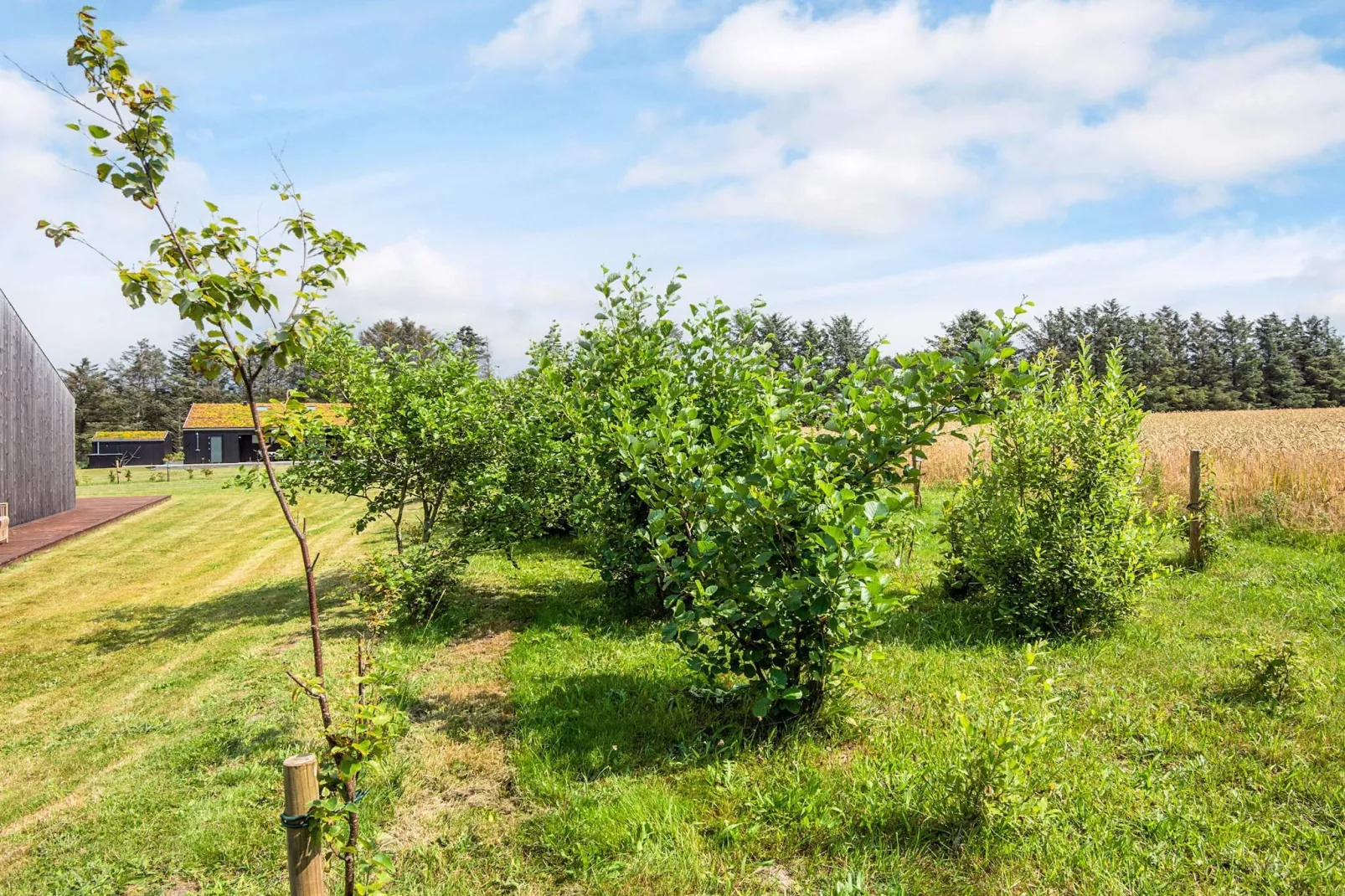 8 person holiday home in Saltum-By Traum-View