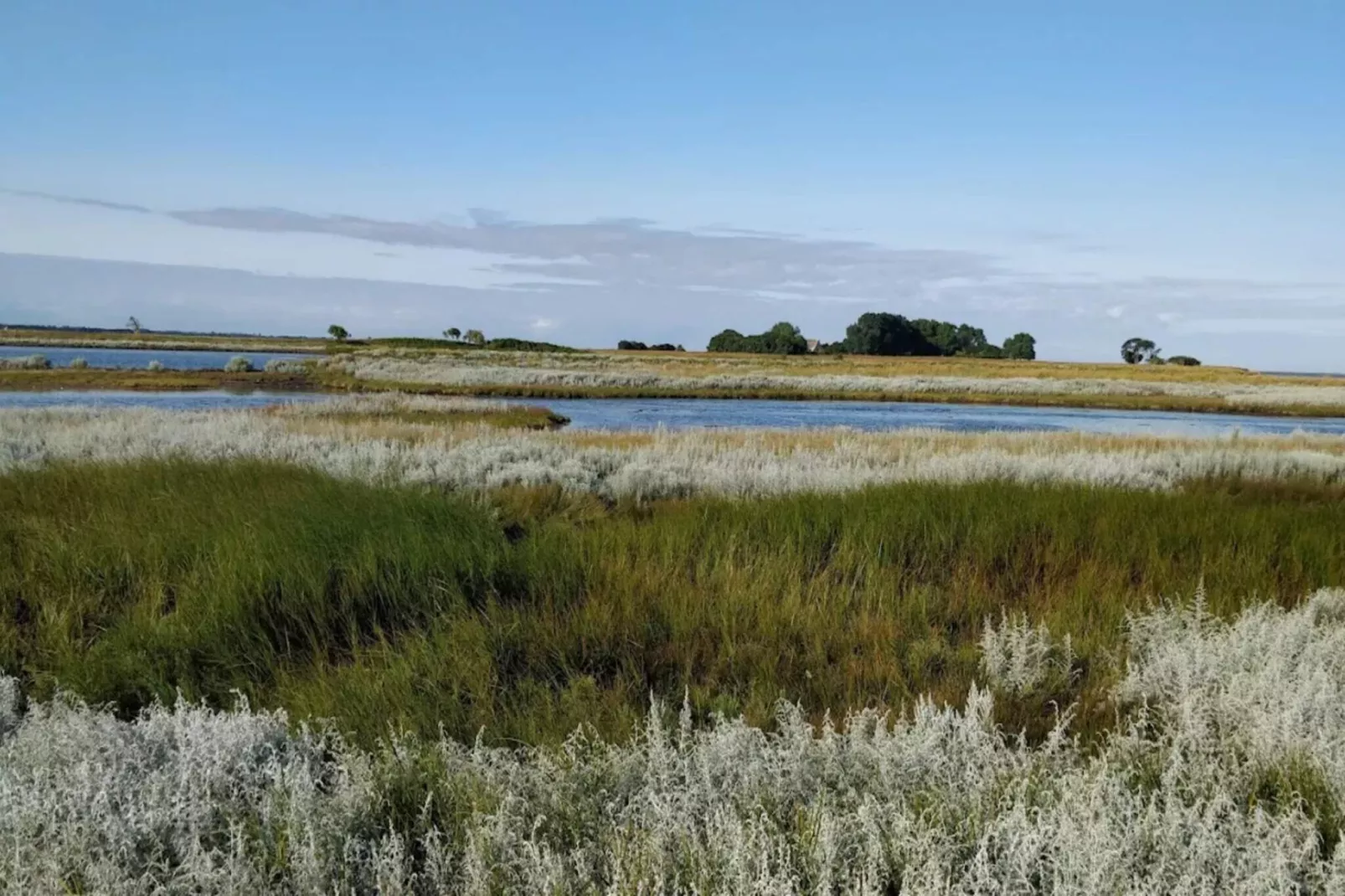 Maison de vacances pour 4 a Bogense-By Traum-Vue sur l'eau