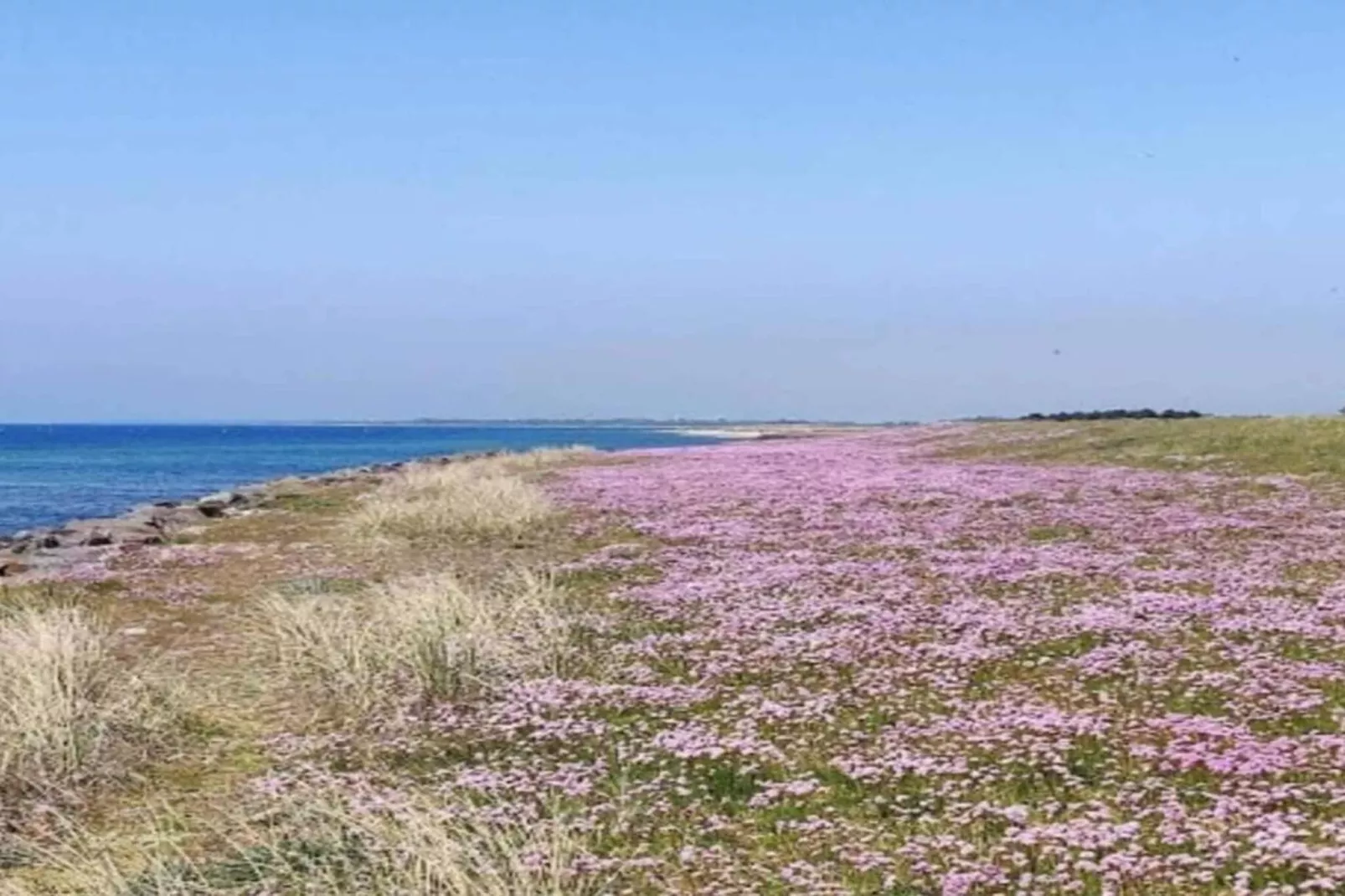 Maison de vacances pour 10 a Rødby-By Traum