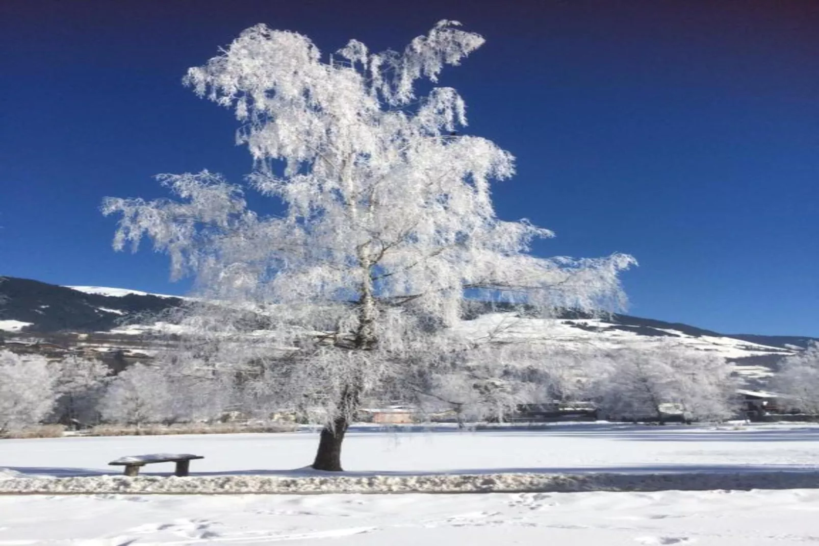 Oberkranzhof xl-Area within 20km in winter